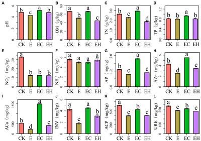 Mixing planting with native tree species reshapes soil fungal community diversity and structure in multi-generational eucalypt plantations in southern China